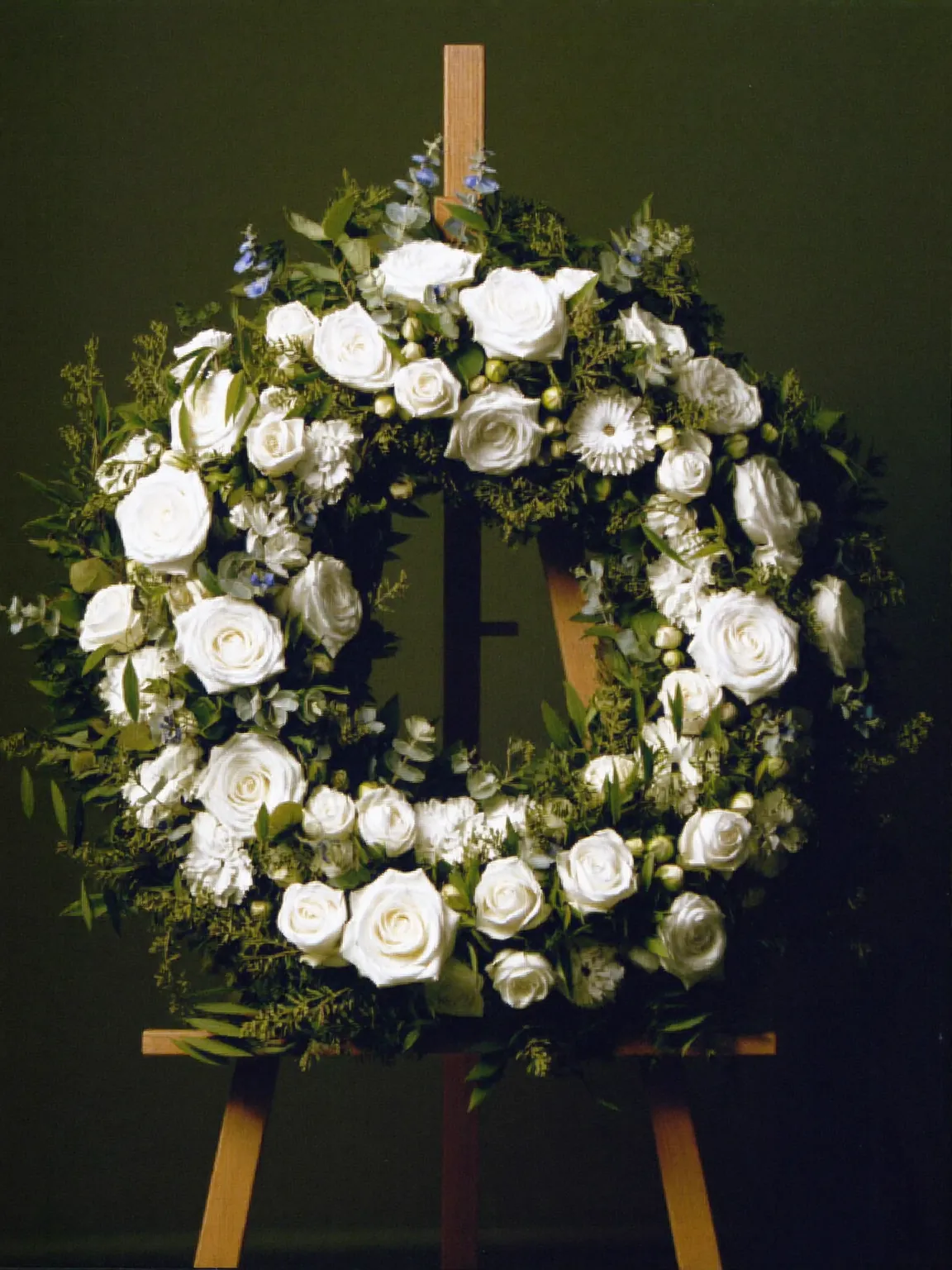 Couronne blanche et verte, image générée pour la maquette